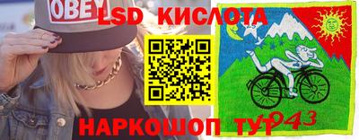 шишки Шелехов